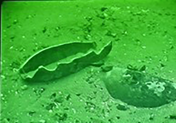 Air dropped weapons on the seabed following a low order result